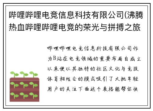 哔哩哔哩电竞信息科技有限公司(沸腾热血哔哩哔哩电竞的荣光与拼搏之旅)